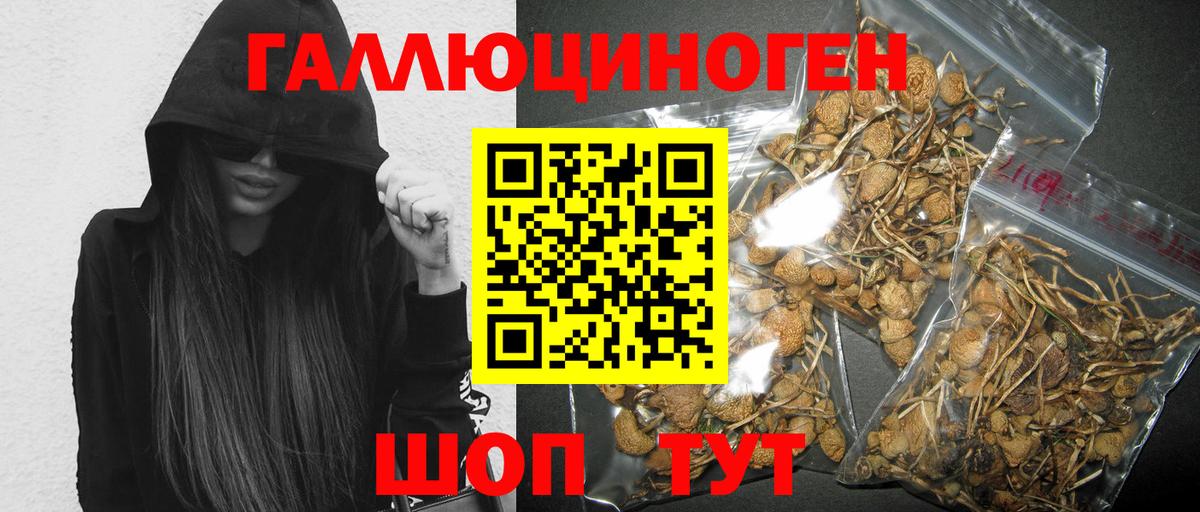 Гулькевичи  Псилоцибиновые грибы прущие грибы  Галлюциногенные грибы Magic Shrooms  Вход с VPN 